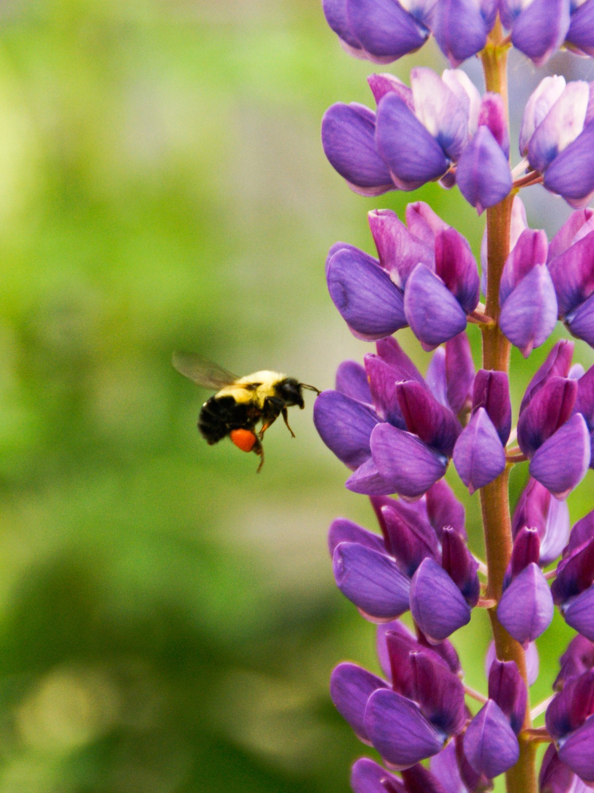 Lorem ipsum dolor sit amet, consetetur sadipscing elitr, sed diam nonumy eirmod tempor invidunt ut labore et dolore magna aliquyam erat, sed diam voluptua.